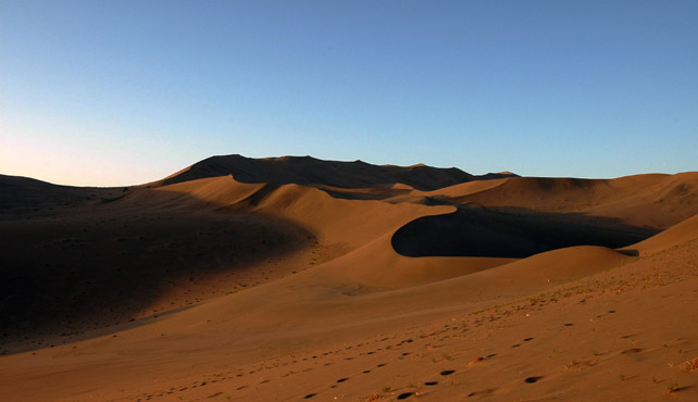 　沙漠中缺少駱駝總是有些缺憾。